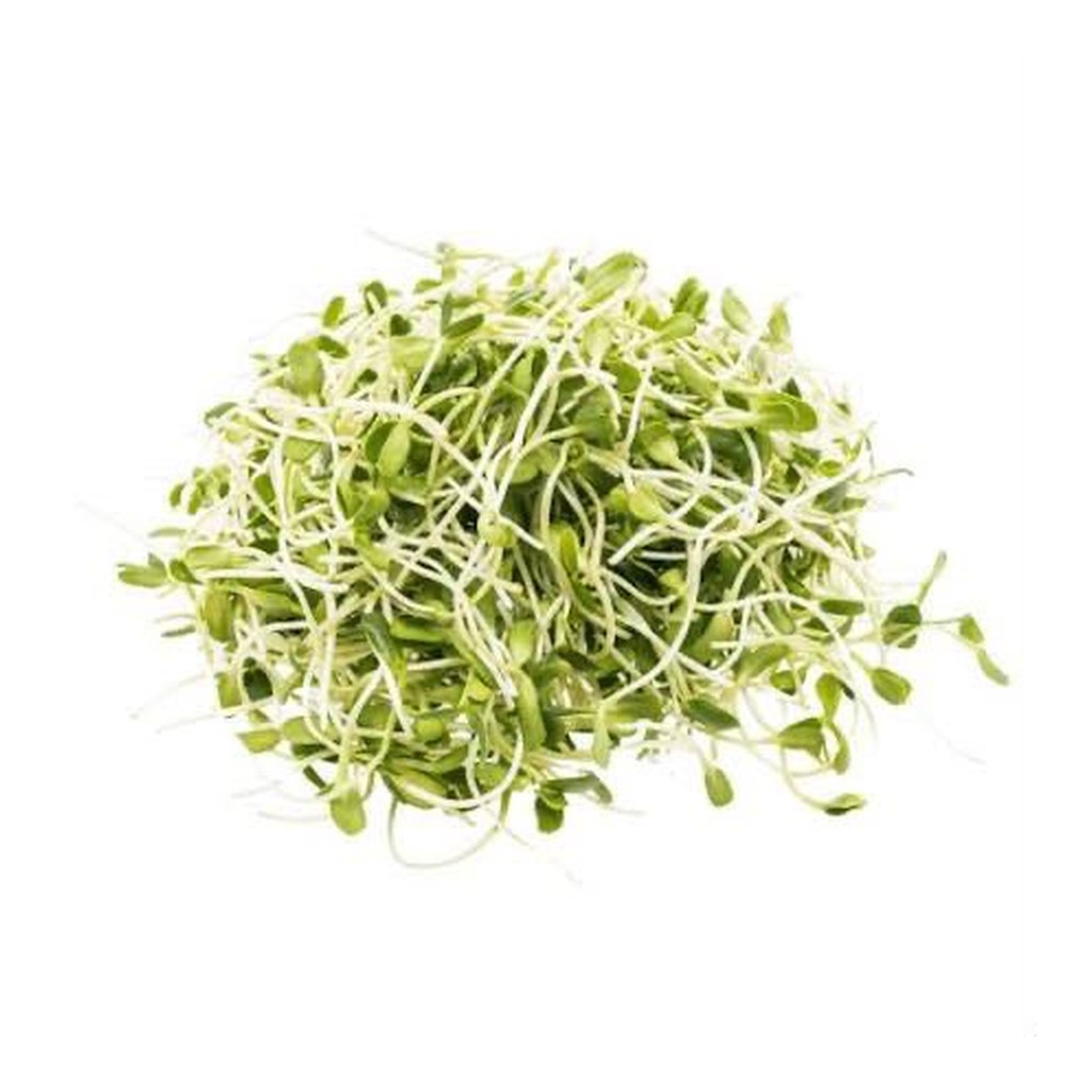 alfalfa-sprouts-meta-1024