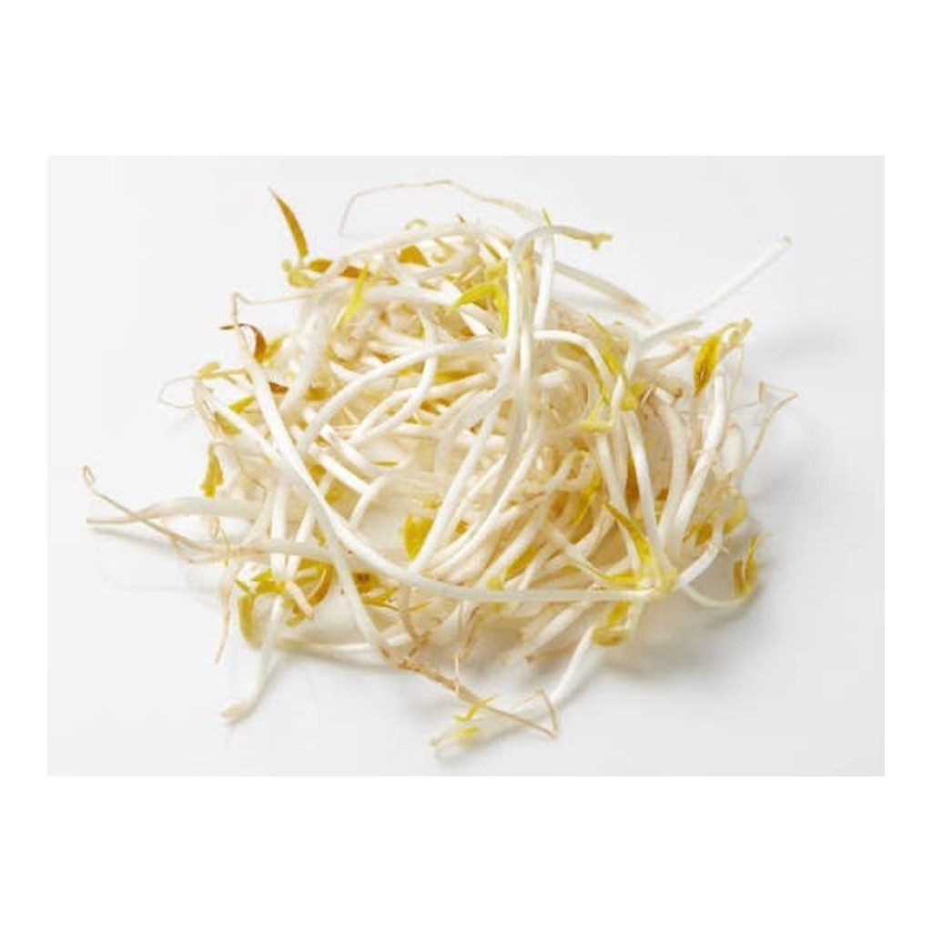 bean-sprouts-meta-1024