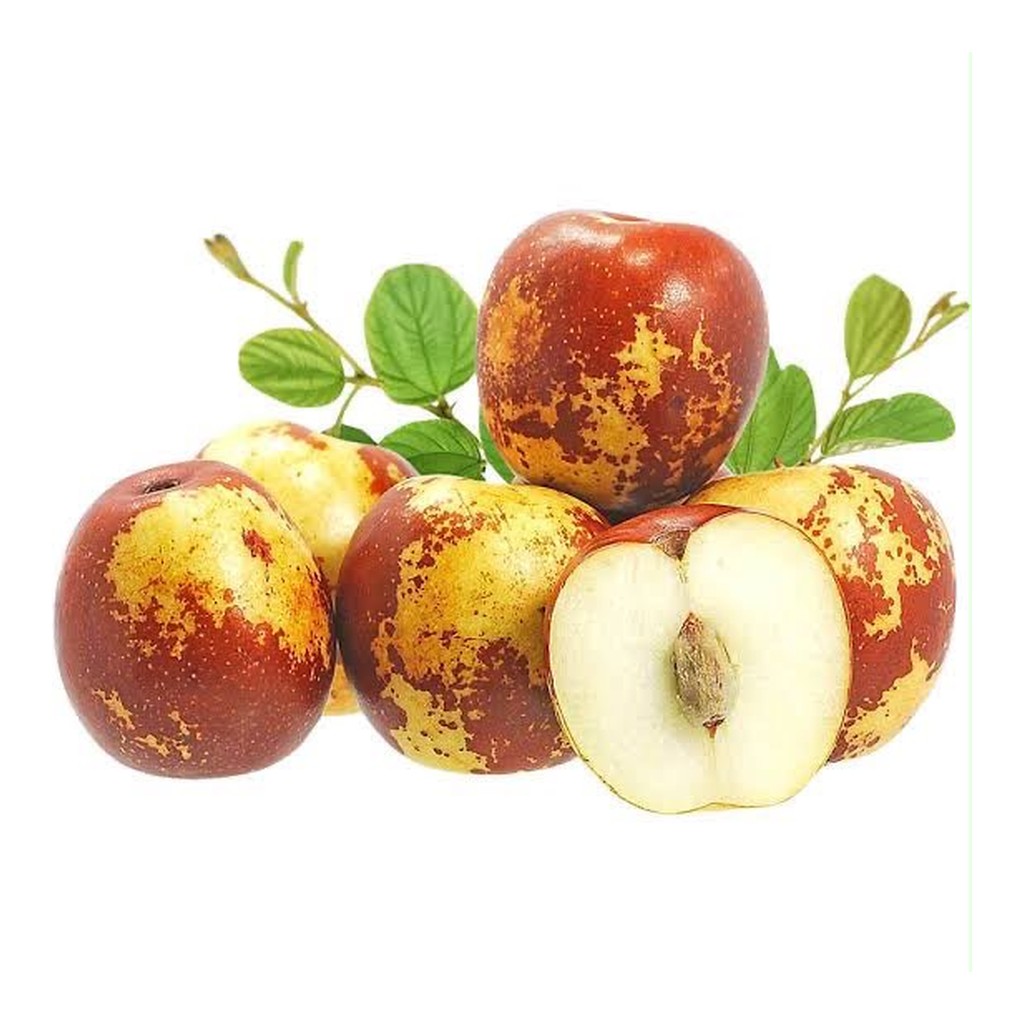 jujube-meta-1024
