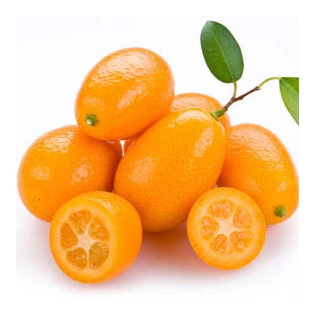 kumquat-meta-1024