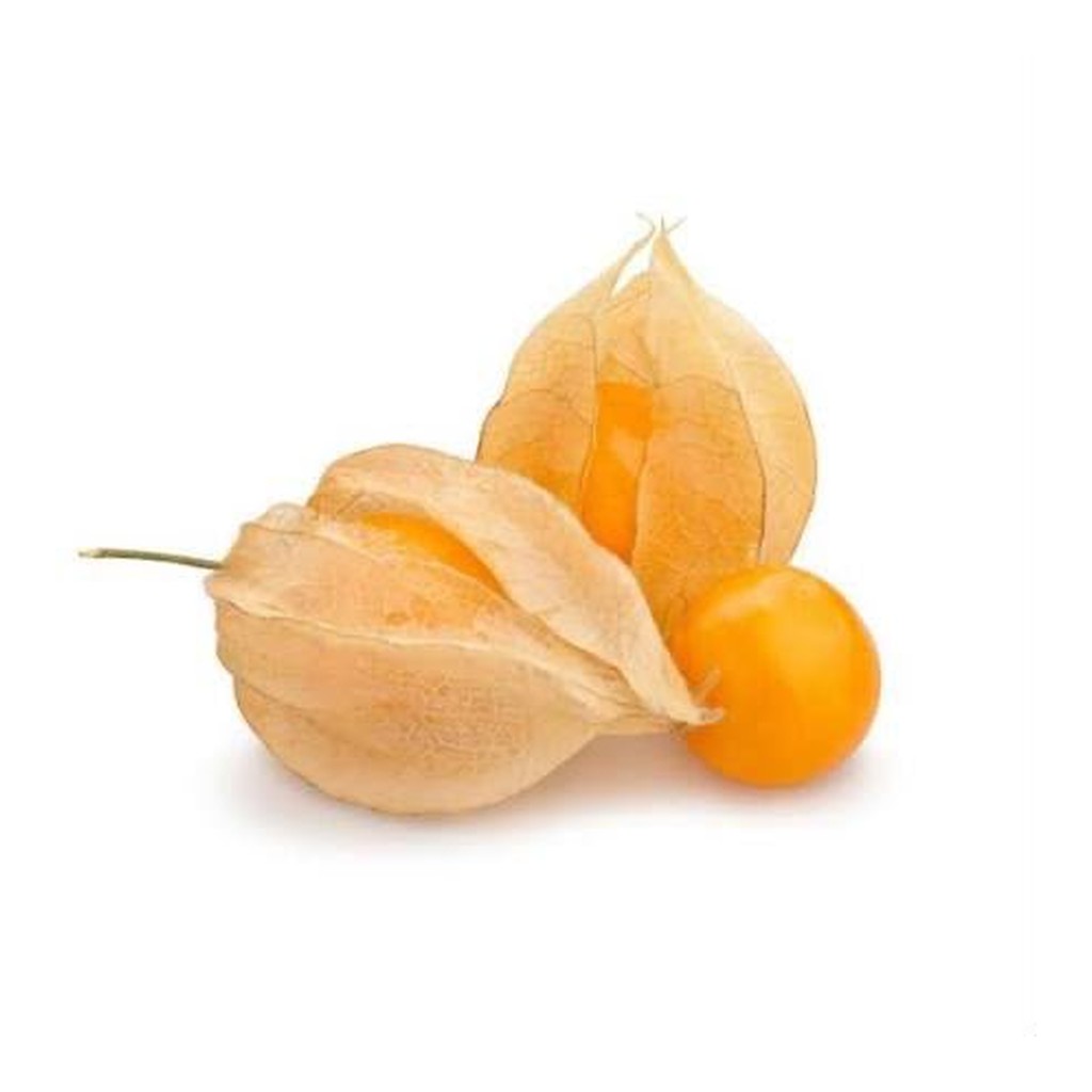 physalis-meta-1024
