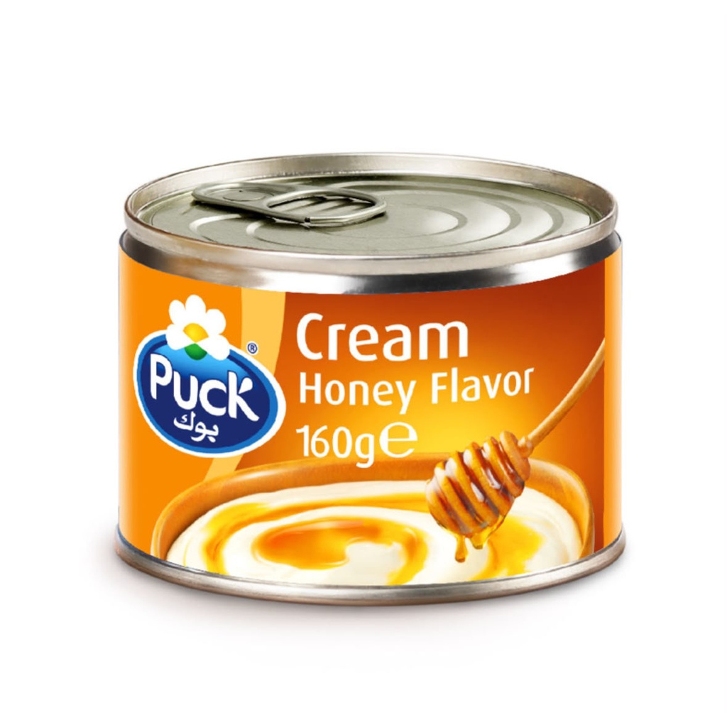puck_01