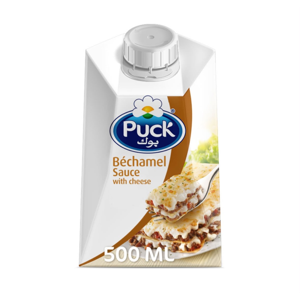 puck_02