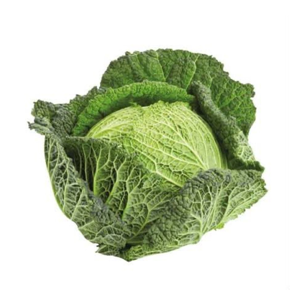 savoy-cabbage-meta-1024